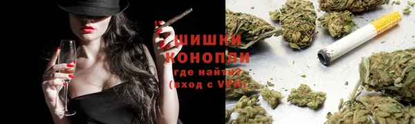 индика Беломорск