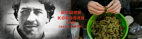 индика Беломорск