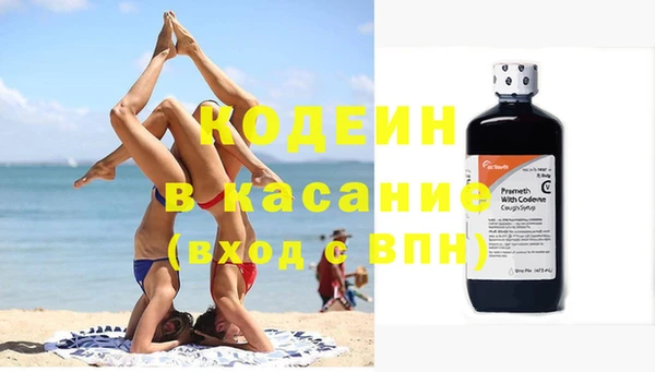 индика Беломорск