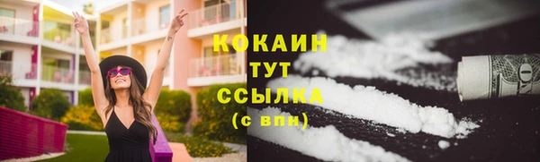 индика Беломорск
