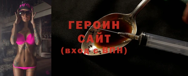 индика Беломорск