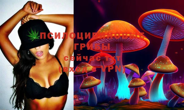 индика Беломорск