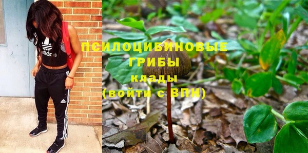 индика Беломорск