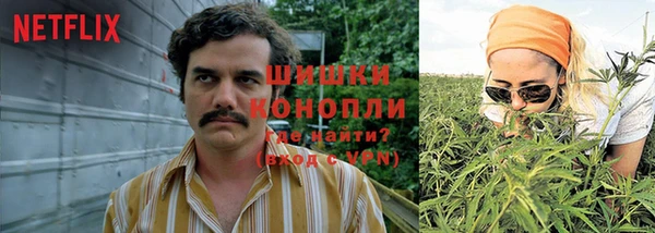 марихуана Белокуриха