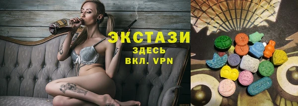 индика Беломорск