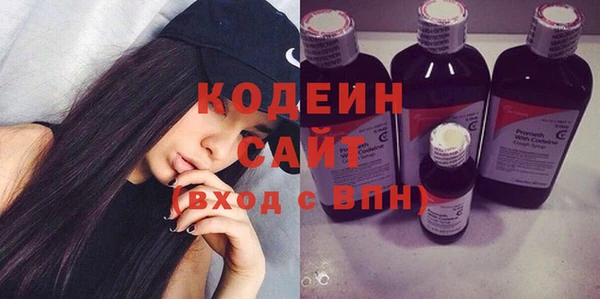 индика Беломорск