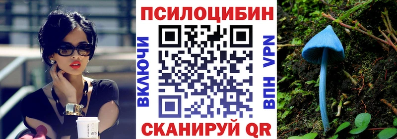блэк спрут tor  сколько стоит  Воскресенск  Псилоцибиновые грибы Cubensis 